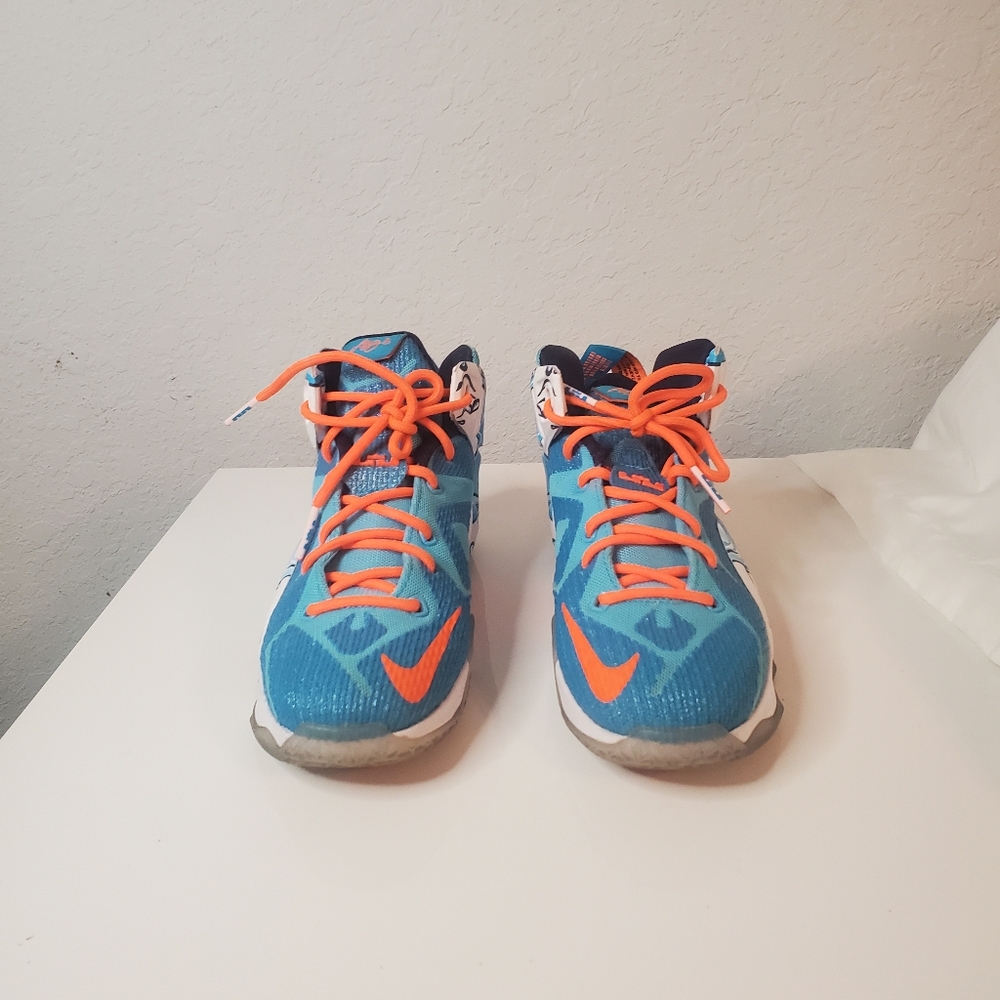 Lebrons nike blue and orange